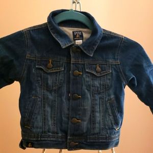 Baby Gap Lined Denim Jean Jacket